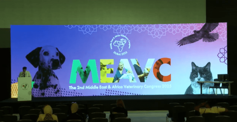 Enhancing Client Communication at Every Stage